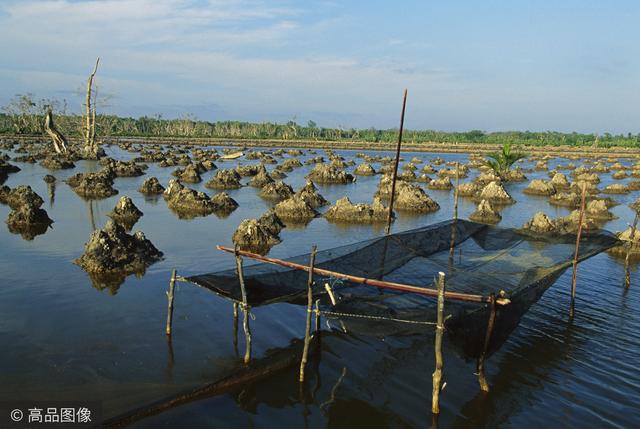 印尼迁都耗巨资，只为迁到这个地方
