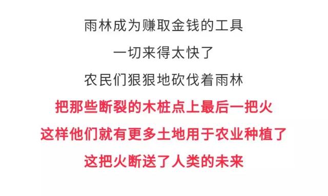 亚马逊大火的真相，和你看到的截然相反