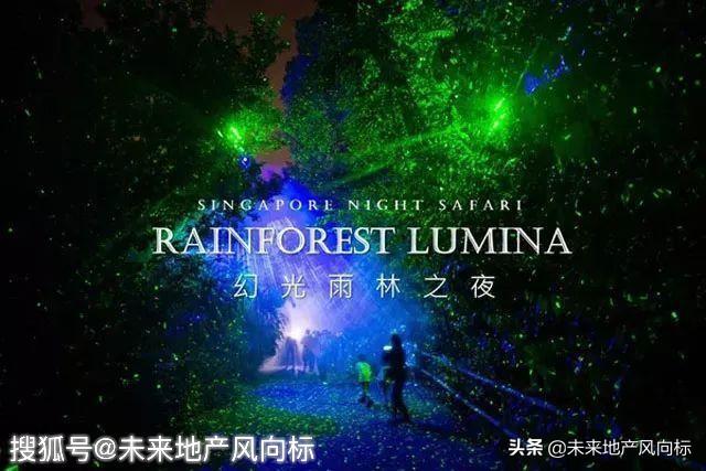 互动体验式夜游的先驱在哪里？？？新加坡——幻光雨林