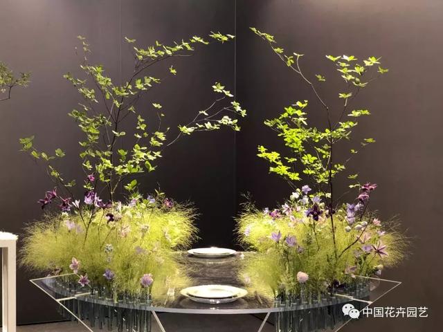 2019世界花艺大赛 | 为自己的选手加油