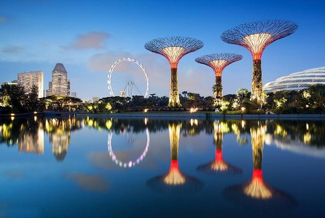 新加坡树状塔钢膜结构建筑