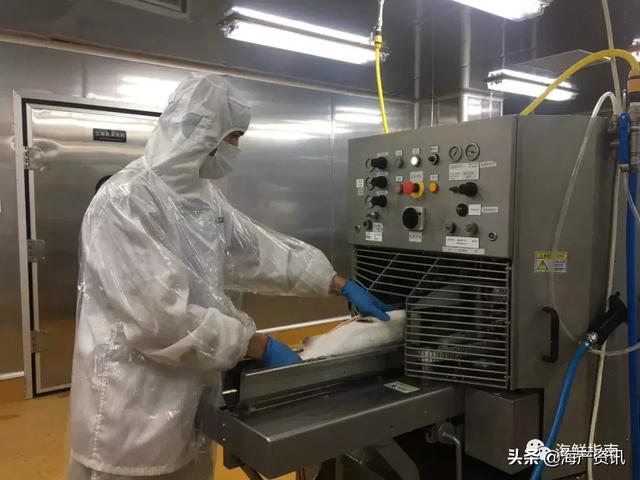 全球最大三文鱼生产商Mowi上海加工厂投产运营！布局中国大陆