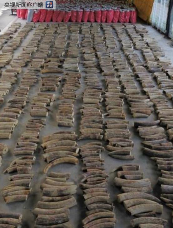 没有买卖就没有伤害 新加坡将从2021年9月起全面禁止国内象牙制品交易