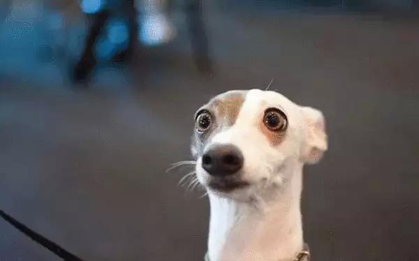 震惊！在新加坡身份竟然那么重要，新加坡绿卡我要定了