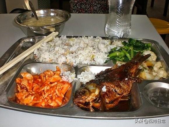 世界各国的食堂比拼，哪里的最好吃？