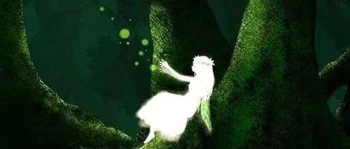 谢园周末随记：我敢活成自己想要的样子 | 探索 诚意的习惯换安宁的快乐 (十六）