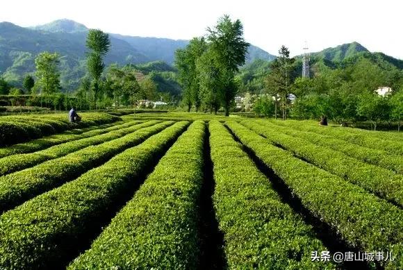 别去西藏了！从唐山出发只要4小时，直达亚洲最佳旅游地NO.1