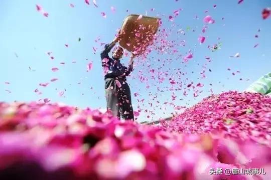 别去西藏了！从唐山出发只要4小时，直达亚洲最佳旅游地NO.1