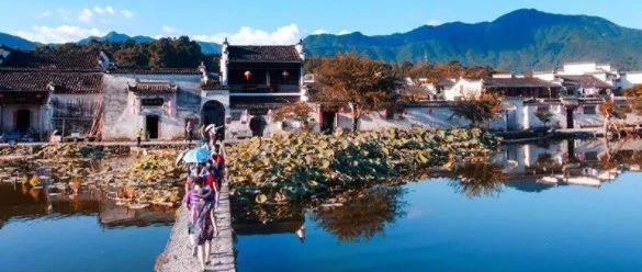 前沿对话｜⑦坚守经济规律底线补齐市场短板