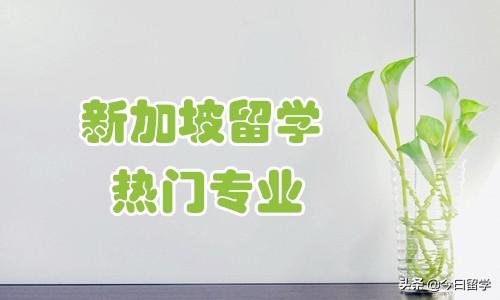 新加坡留学有哪些热门专业？