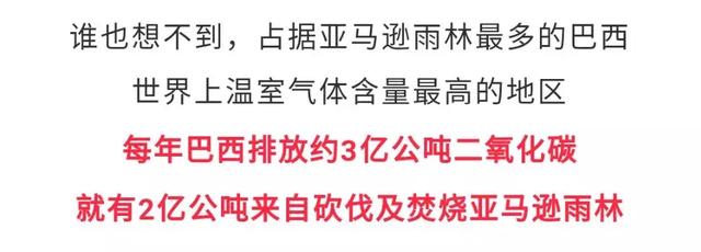 亚马逊大火的真相，和你看到的截然相反