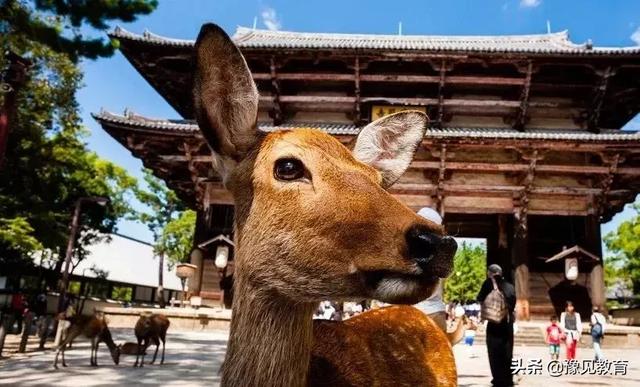 终于集齐！这30个“世界热门旅行地”纪录片，值得都撸一遍