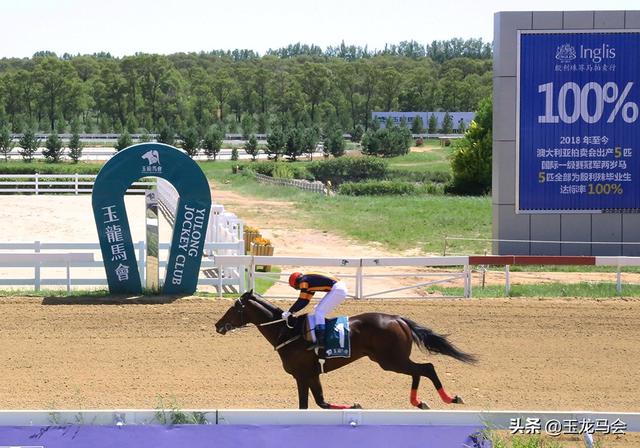 80万红钻锦标决赛冠军「缘份」登陆“2019玉龙秋季拍卖会”