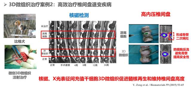 清华杜亚楠：3D微组织工程技术——干细胞微组织新药在再生治疗中的妙用