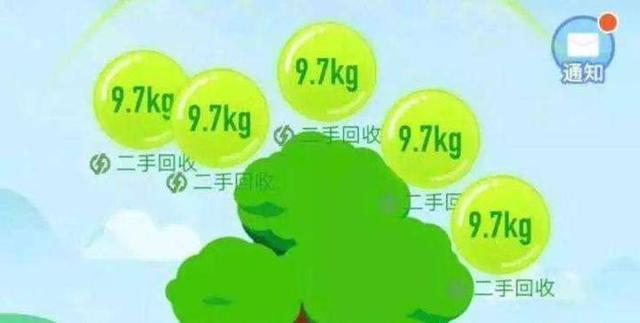 弄潮·快评