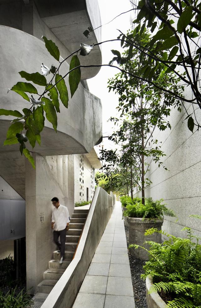 郁郁葱葱的城市花园：Design Orchard 孵化器