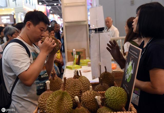 水果之王榴莲不止泰国好吃，游客去新加坡旅游，如何地道吃榴莲