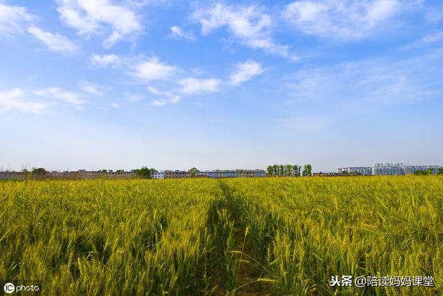 小学课外知识积累，从每天的学习开始吧