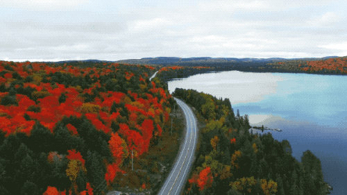 这里才是加拿大秋天的精髓，赏枫攻略拿走不谢