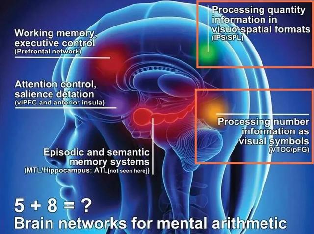 美国、新加坡最流行的视觉数学，提高的不只是娃的思维能力