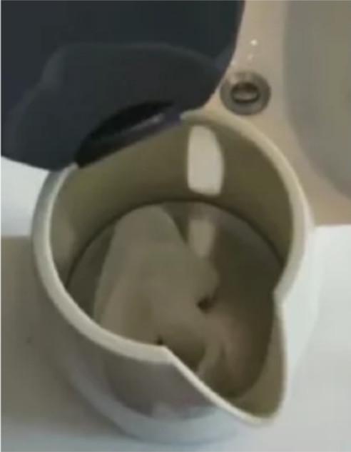 恶心！五星级酒店水壶发现卫生巾，酒店卫生差到这种地步了