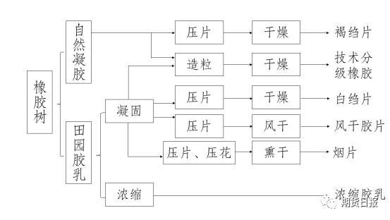 20号胶上市倒计时！攻略来了