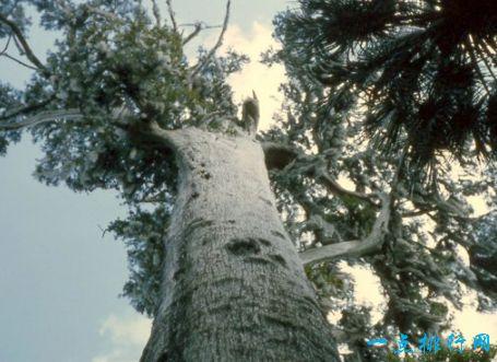 十大世界上令人难以置信的历史遗迹