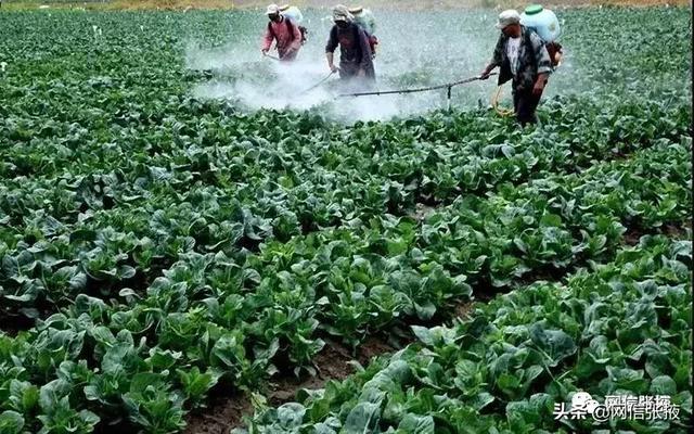 写在2019丝绸之路国际生态产业博览会暨现代丝路寒旱农业绿色有机产品（张掖）交易会开幕之际