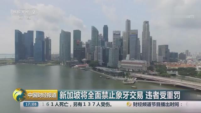 对象牙制品说“不”！新加坡将全面禁止象牙交易 违者最高罚500万元