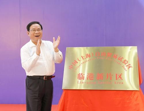 大江东｜沪深比翼，委以重任，临港新片区浑身是“胆”