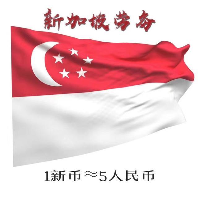 新加坡海外劳务签证类型