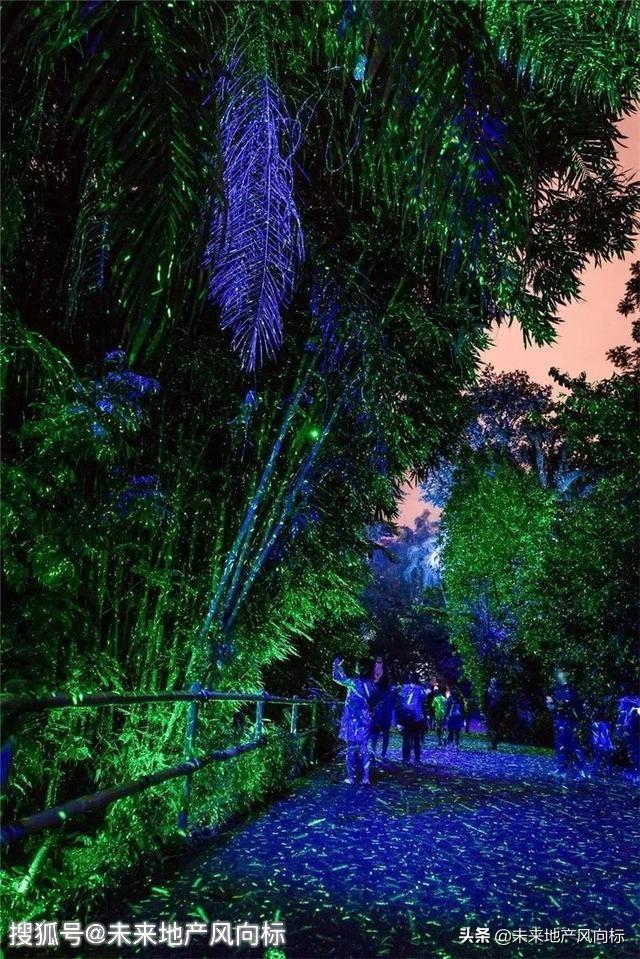 互动体验式夜游的先驱在哪里？？？新加坡——幻光雨林