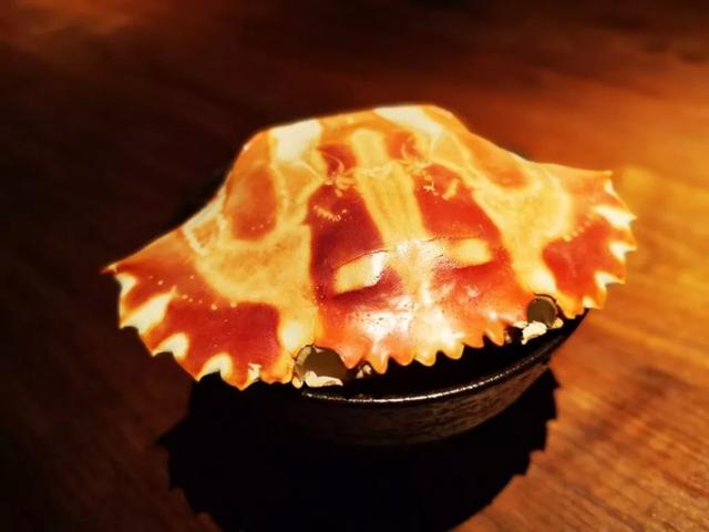 探店 | 华侨城藏了一家黑珍珠有机食材餐厅