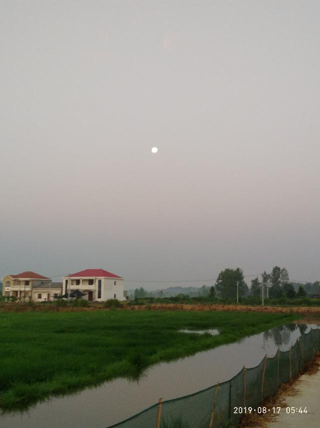 爱上野河 继续追踪鱼路，星光不问赶路人