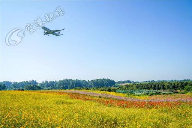 这些艺术品将永远留在空港花田！走，赶紧出发去打卡