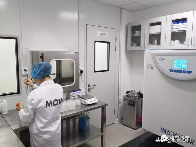 全球最大三文鱼生产商Mowi上海加工厂投产运营！布局中国大陆