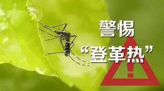 登革热进入高发期，外出游玩注意啦