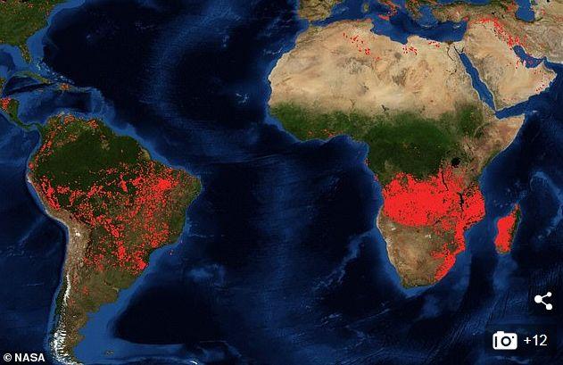 不只亚马逊 全世界多个角落都在燃烧 更大的浩劫来了