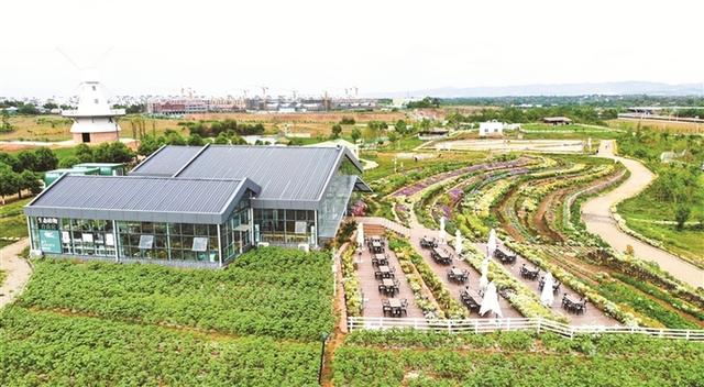 农业对外开放合作的青白江作为