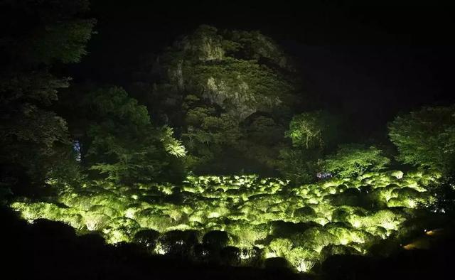 teamLab御船山展览惊艳全球，我国夜游景观该如何打造？