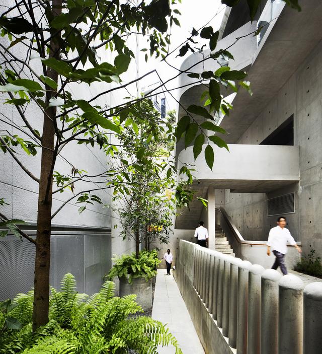 郁郁葱葱的城市花园：Design Orchard 孵化器