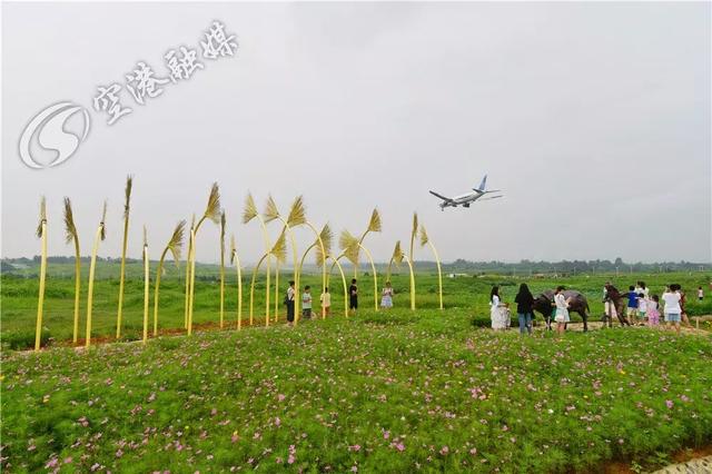 这些艺术品将永远留在空港花田！走，赶紧出发去打卡