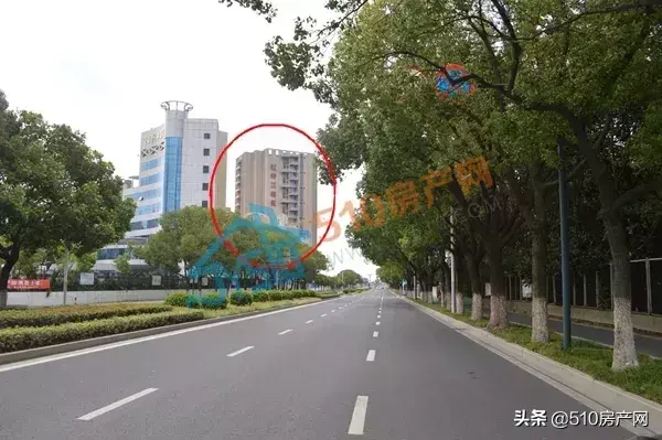外滩这边有座神奇的大楼，外形夺目，可惜命运多舛，期待凤凰涅槃