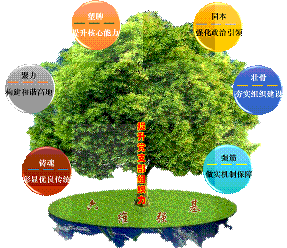 中国石化胜利石油工程公司地质录井公司《实施“六维强基”行动　切实提升党支部组织力》