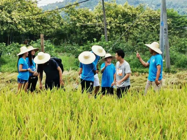 携手侨海报国恩