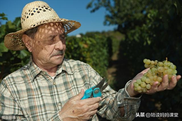 小学课外知识积累，从每天的学习开始吧