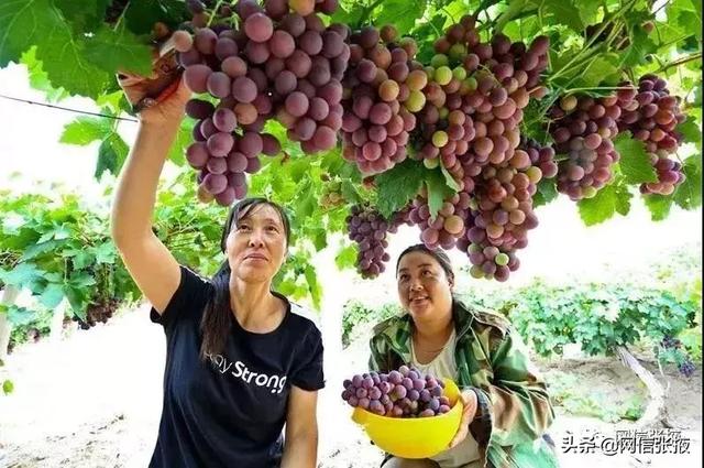 写在2019丝绸之路国际生态产业博览会暨现代丝路寒旱农业绿色有机产品（张掖）交易会开幕之际