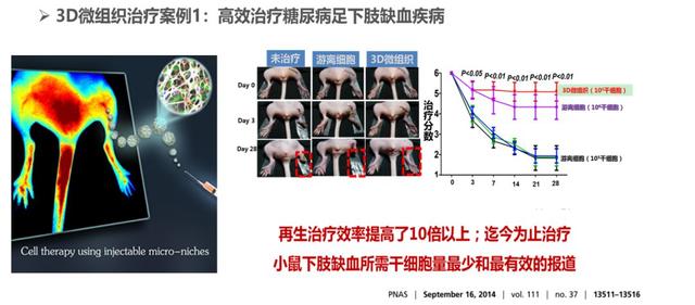 清华杜亚楠：3D微组织工程技术——干细胞微组织新药在再生治疗中的妙用