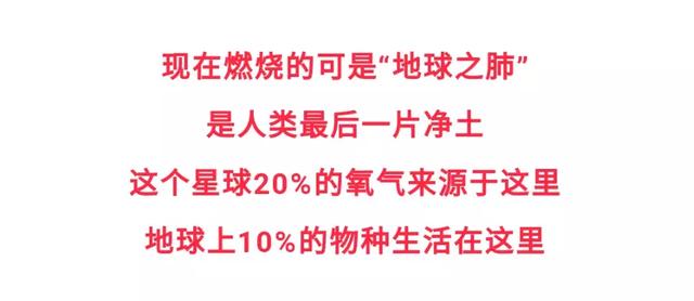 亚马逊大火的真相，和你看到的截然相反