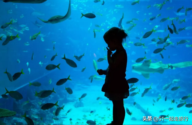 如何在新加坡圣淘沙岛上玩转狮城的全攻略